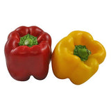 Fresh Mix Capsicum Red and Yellow 2 pcs (approx.250)