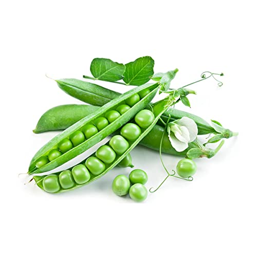 Green Peas Fresh 1 KG