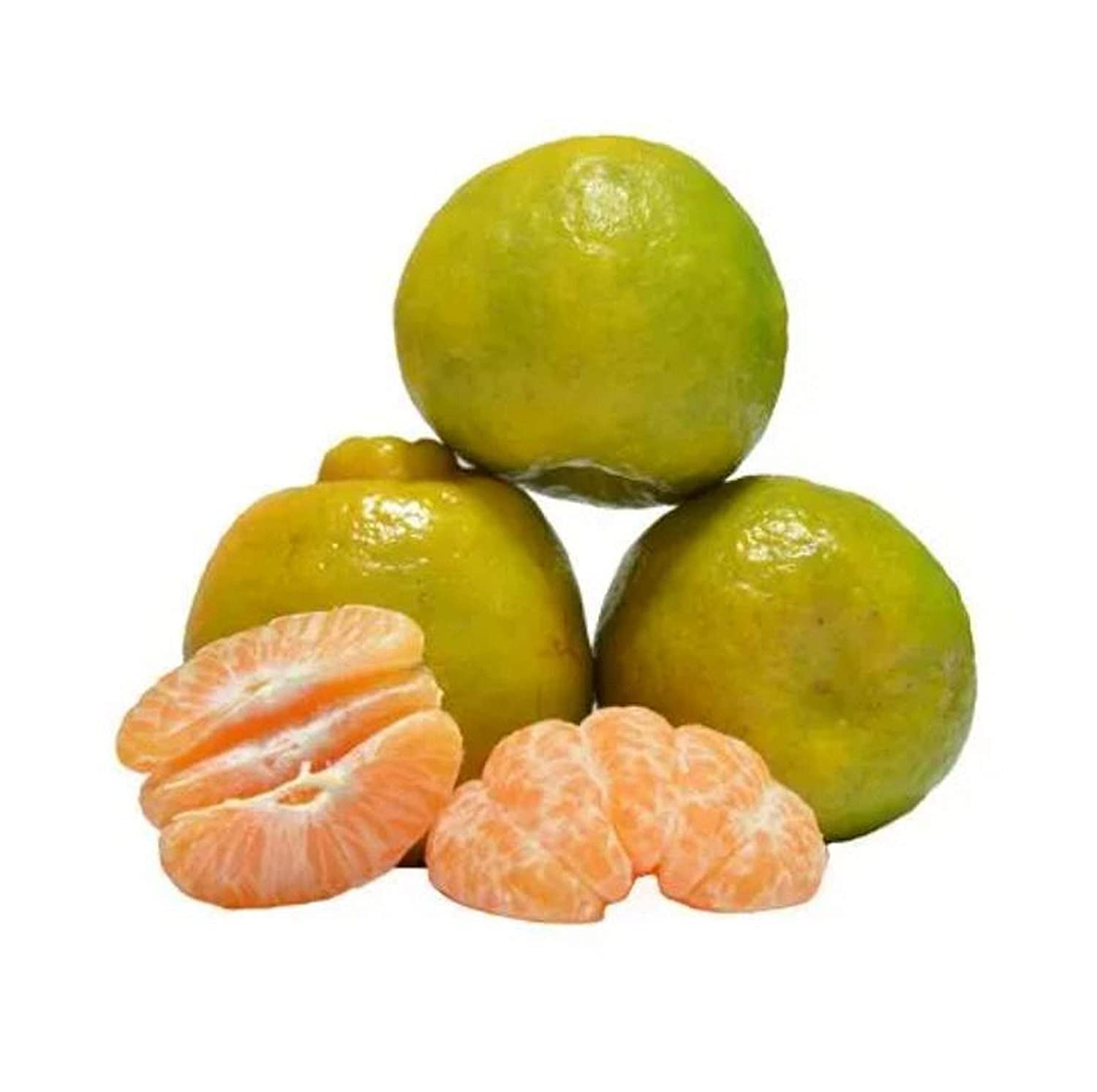 Fresh Baby Orange Nagpur, 1kg