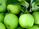 Green Apple - Fresh Organic Imported Green Apples