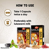 Dabur Shilajit Gold - 100 % Ayurvedic Capsules for Strength , Stamina and Power - 10 capsules