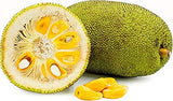 Jackfruit / कटहल / பலாப்பழம் / ಹಲಸು / పనసపండు / ചക്ക / Jack fruit