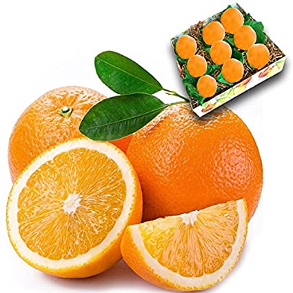Orange / Nagpur Oranges