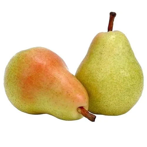 Pear Beauty, 2 pcs